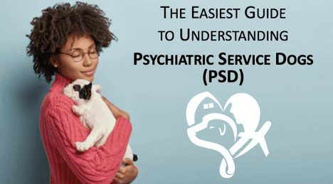 Psychiatric Service Dog PSD - A Guide to Understanding PSD and Your Rights DOT or Department of Transportation Airlines and Fly with My Dog - Register PSD - Register My Dog As A Service Dog