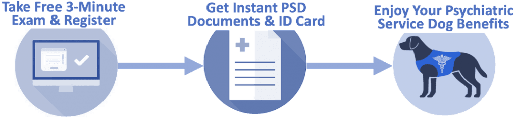 Psychiatric Service Dog PSD - A Simple Guide - SERVICE DOG (PSD) & EMOTIONAL  SUPPORT ANIMAL (ESA) LETTERS & REGISTRATION