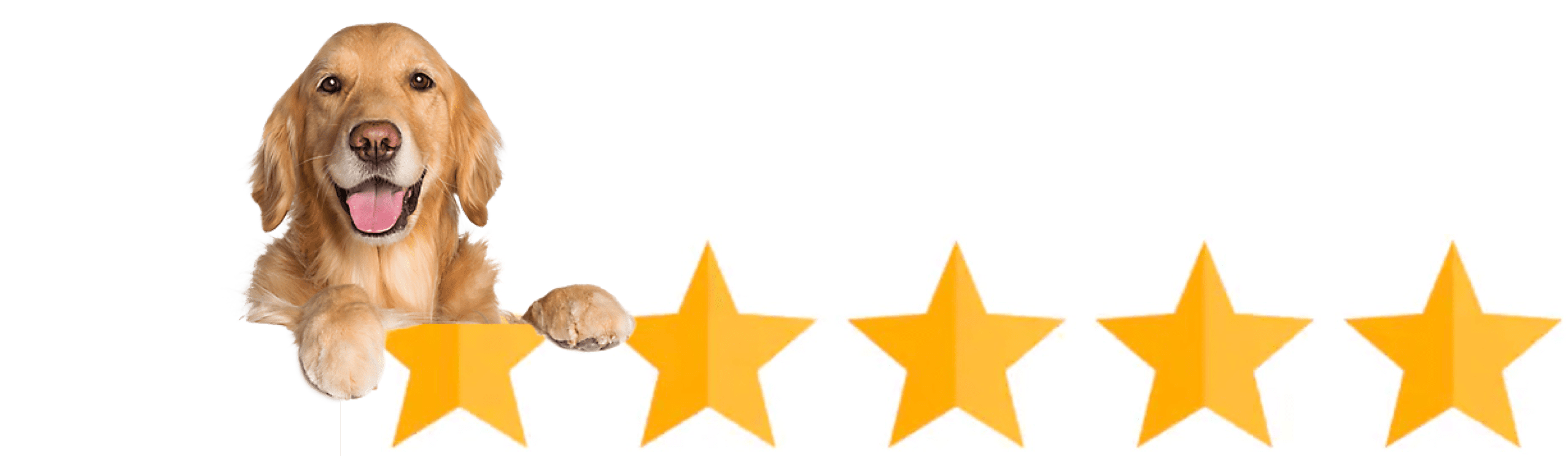 100% Satisfaction of TheraPetic® Service