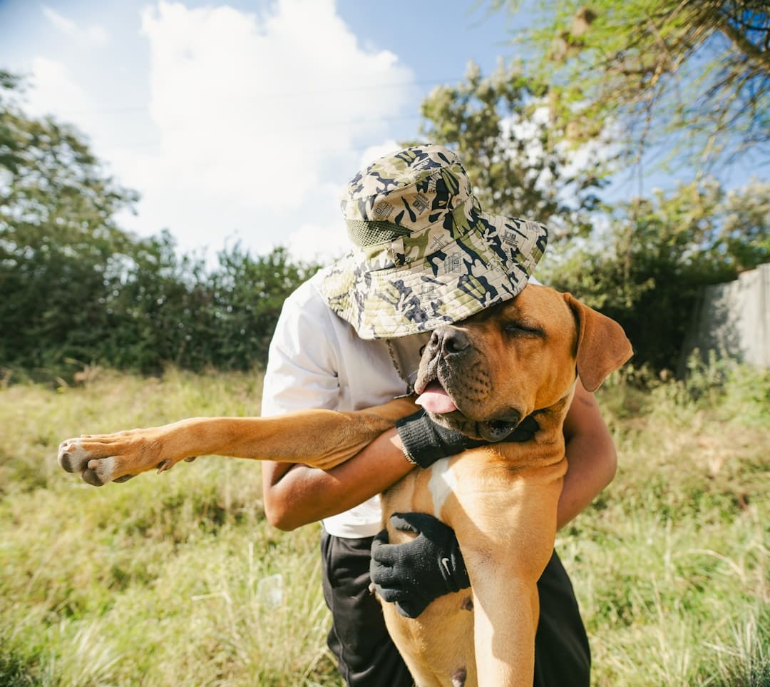 handler burnout. A man hugs a large dog outdoors.