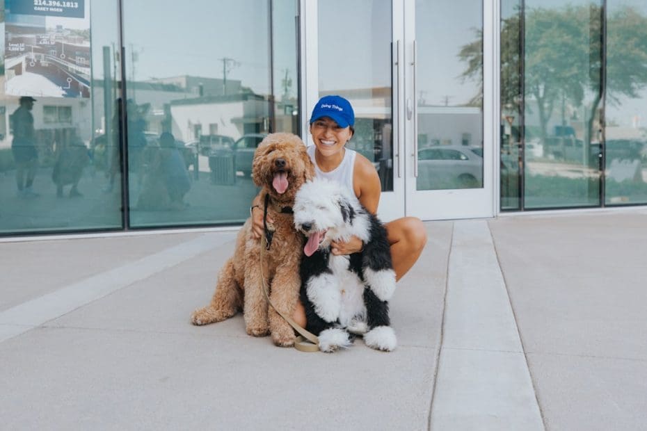 service dog school — 7 Essential Service Dog School Rights Every Student and Parent Must Know