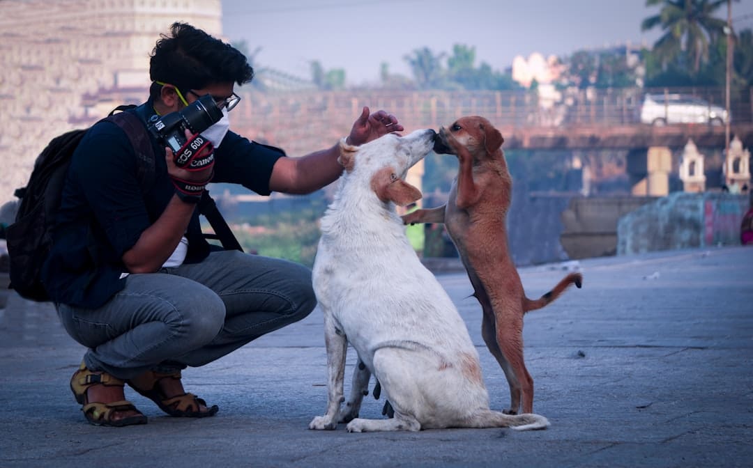 service dog retirement. A man taking a picture of two dogs