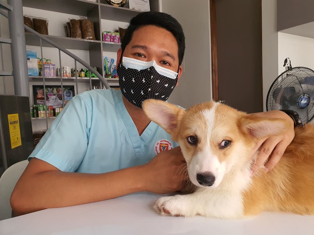 service dog nutrition — a man wearing a face mask sitting next to a dog