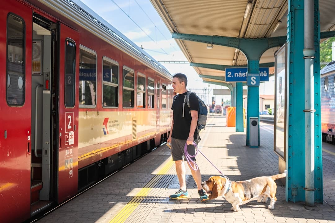 ADA complaint — Man with dog waits for train at station.