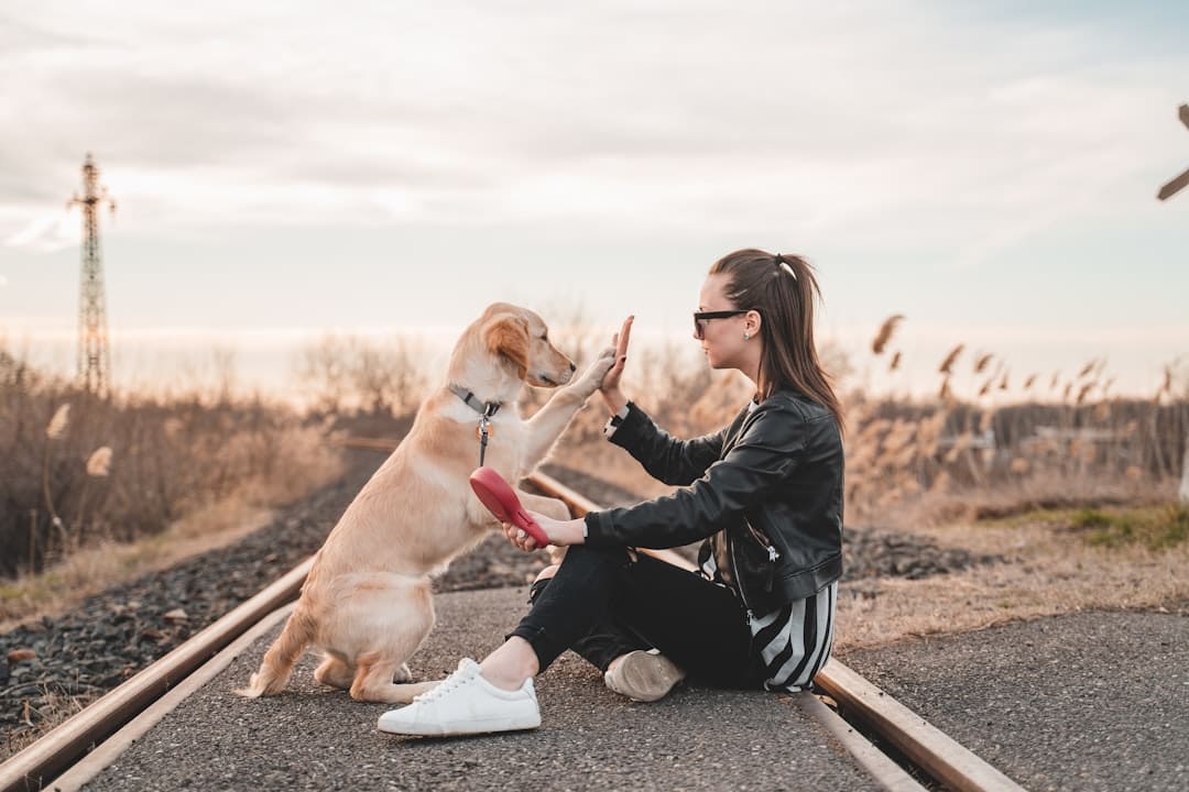 handler burnout — woman sitting and playing with dog outdoors