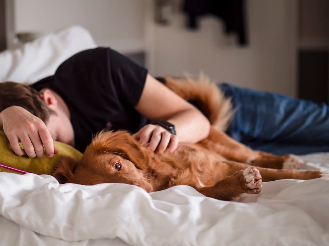 handler burnout — person in black shirt lying on bed