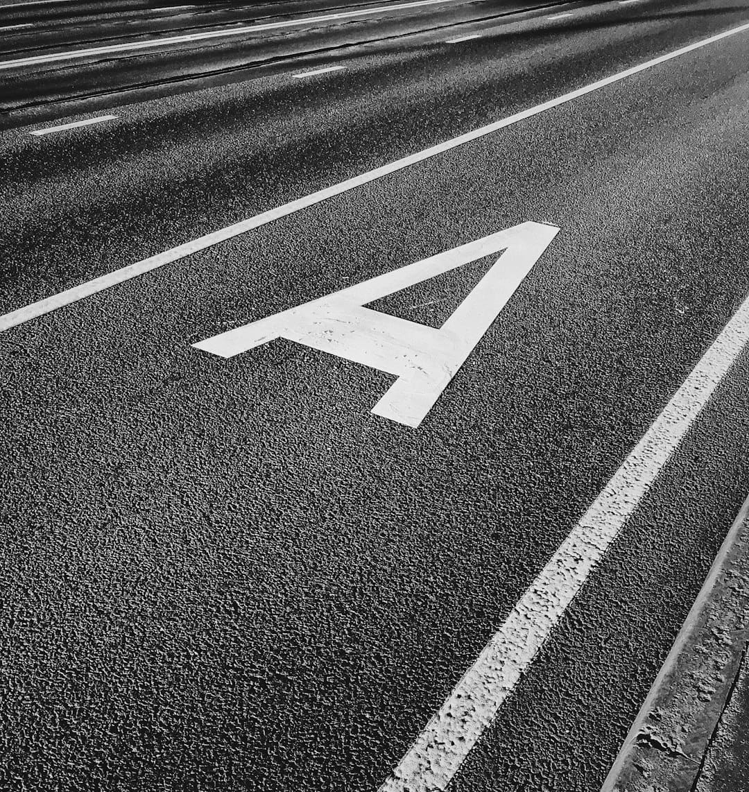 ADA service dog — white arrow sign on road