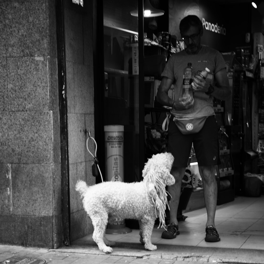 service dog workplace — A man holding two bottles standing with a curly-haired dog outside a bakery