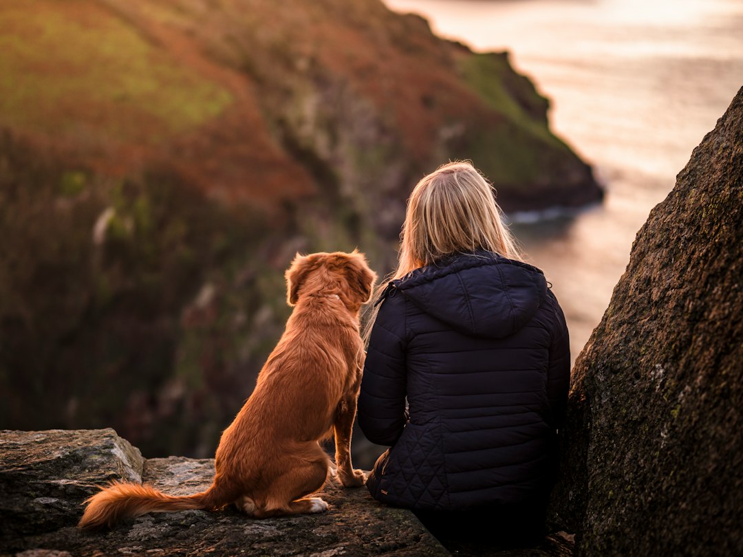 service dog gear — woman in black jacket sitting beside brown dog on rock near body of water during daytime