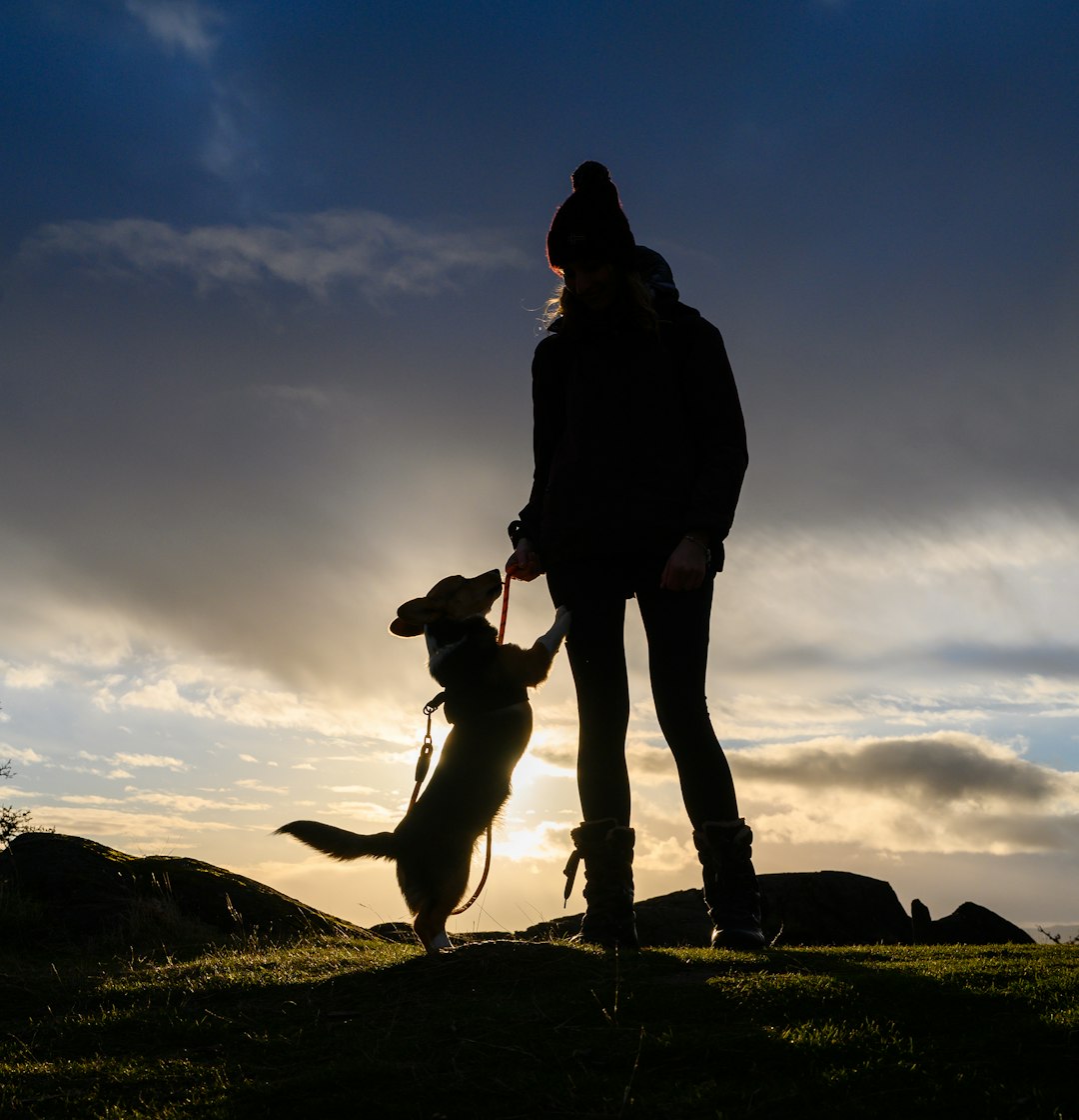 service dog in an apartment — a person and a dog on a hill