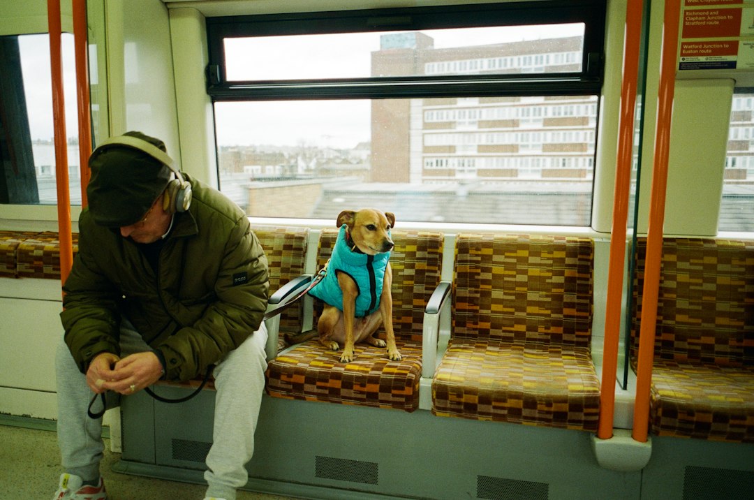 landlord dispute — A dog in a blue vest beside a man on a train